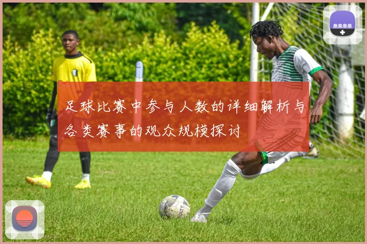 足球比赛中参与人数的详细解析与各类赛事的观众规模探讨