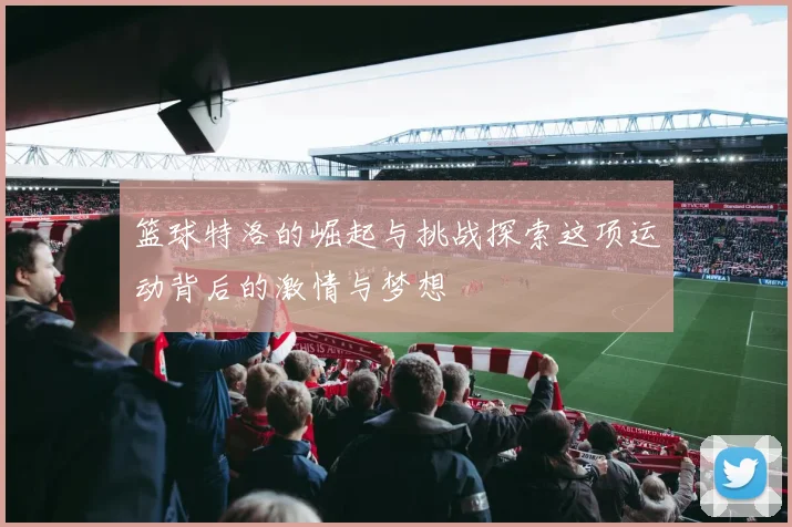 篮球特洛的崛起与挑战探索这项运动背后的激情与梦想