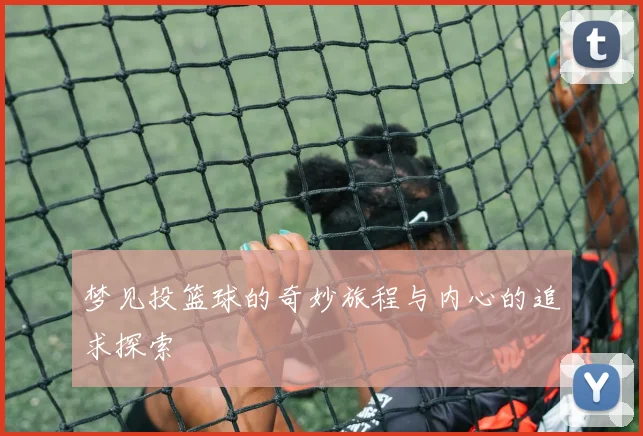 梦见投篮球的奇妙旅程与内心的追求探索